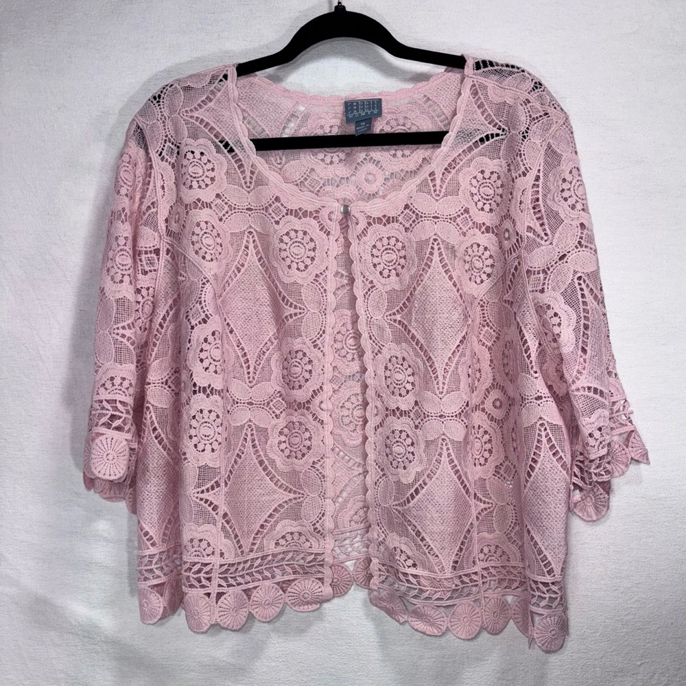 Rabbit Rabbit Rabbit Delicate Pink Lace Blouse - Picture 3 of 15